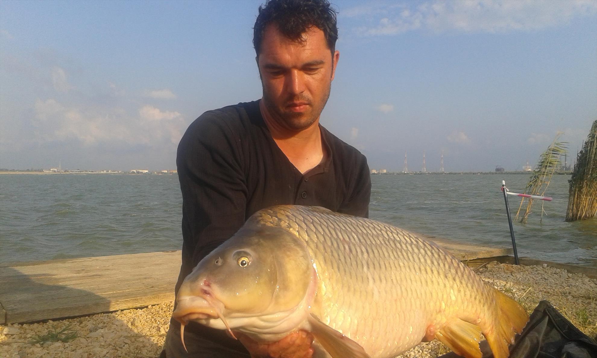 Corbu 3 - 5 iulie 2015 - 20150704185349.jpg